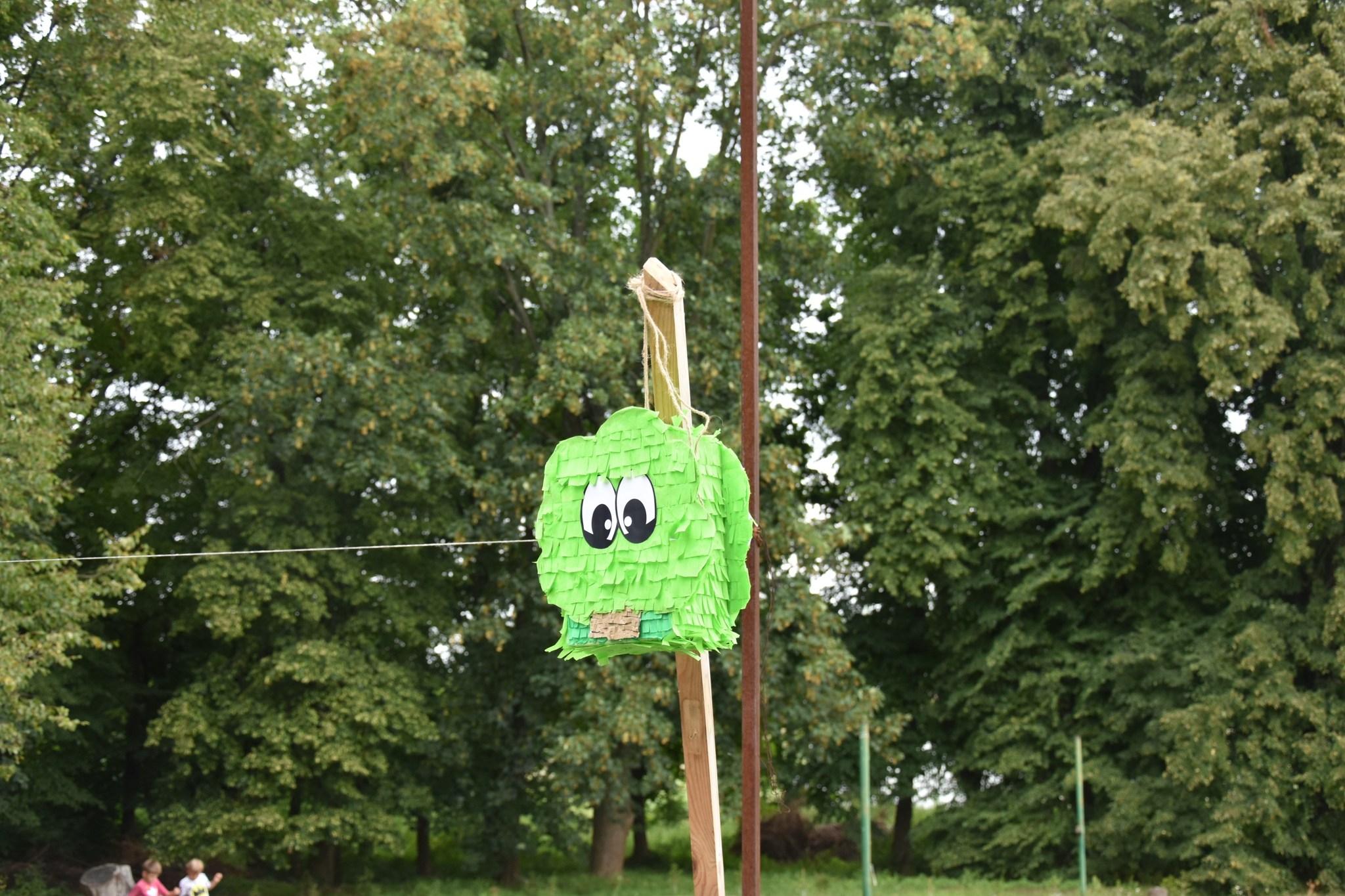 Zielono mi... EkoWakacje z Domem Kultury 2025